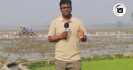 ওকালতি ছেড়ে কনটেন্ট ক্রিয়েটর, ফলোয়ার ৩৫ লাখ